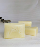 Vanilla Solid Hair Conditioner