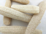Loofah Sponge