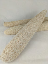 Loofah Sponge
