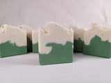 Eucalyptus & Lemon Soap