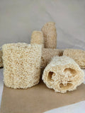 Loofah Sponge