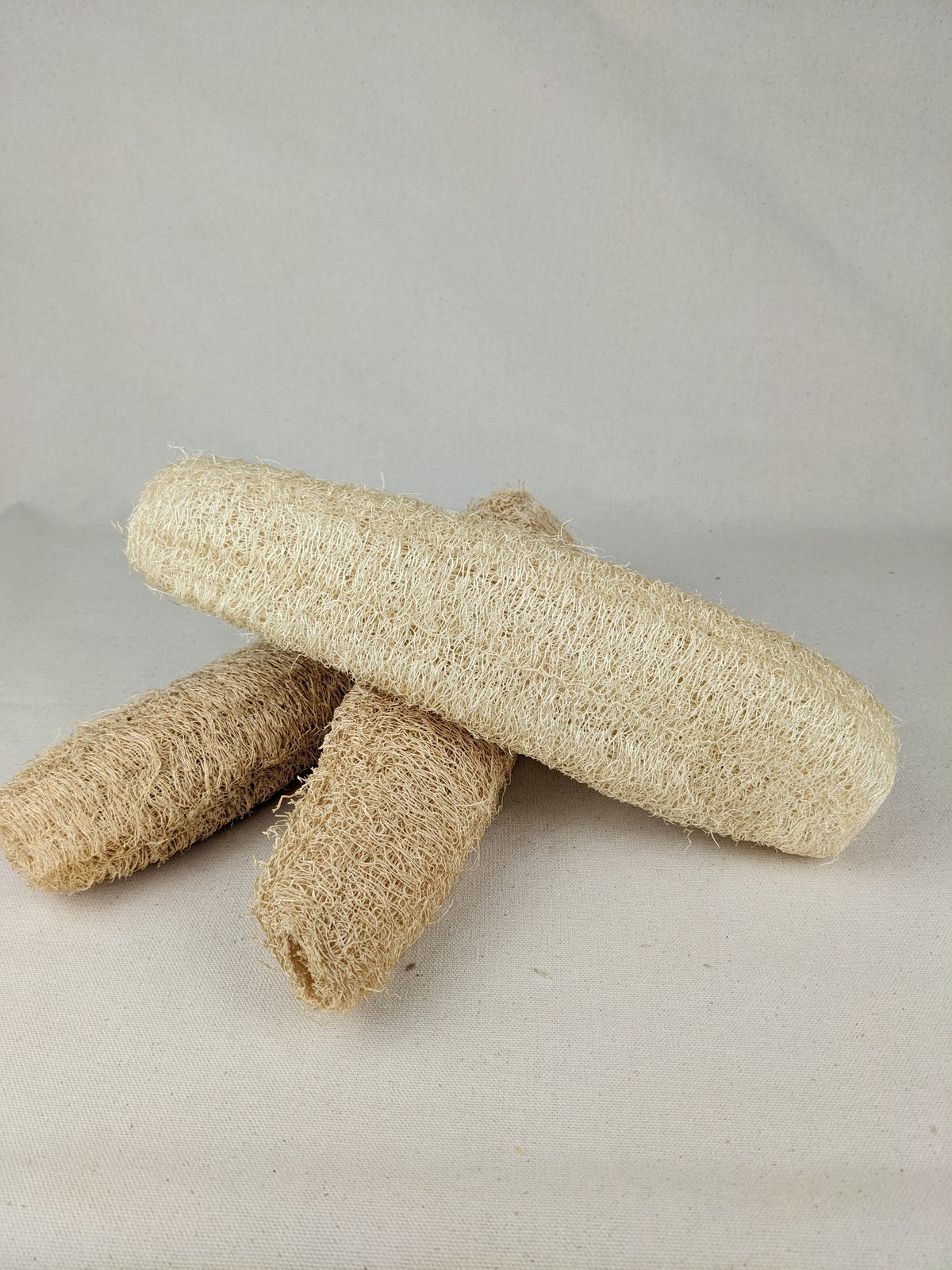 Loofah Sponge