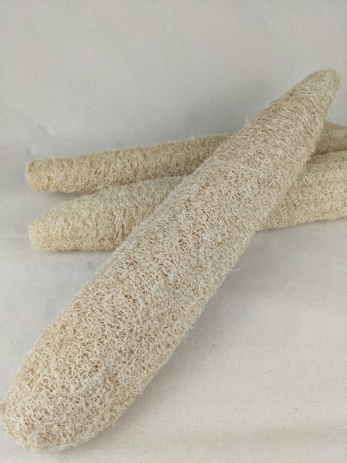 Loofah Sponge